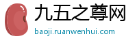 九五之尊网